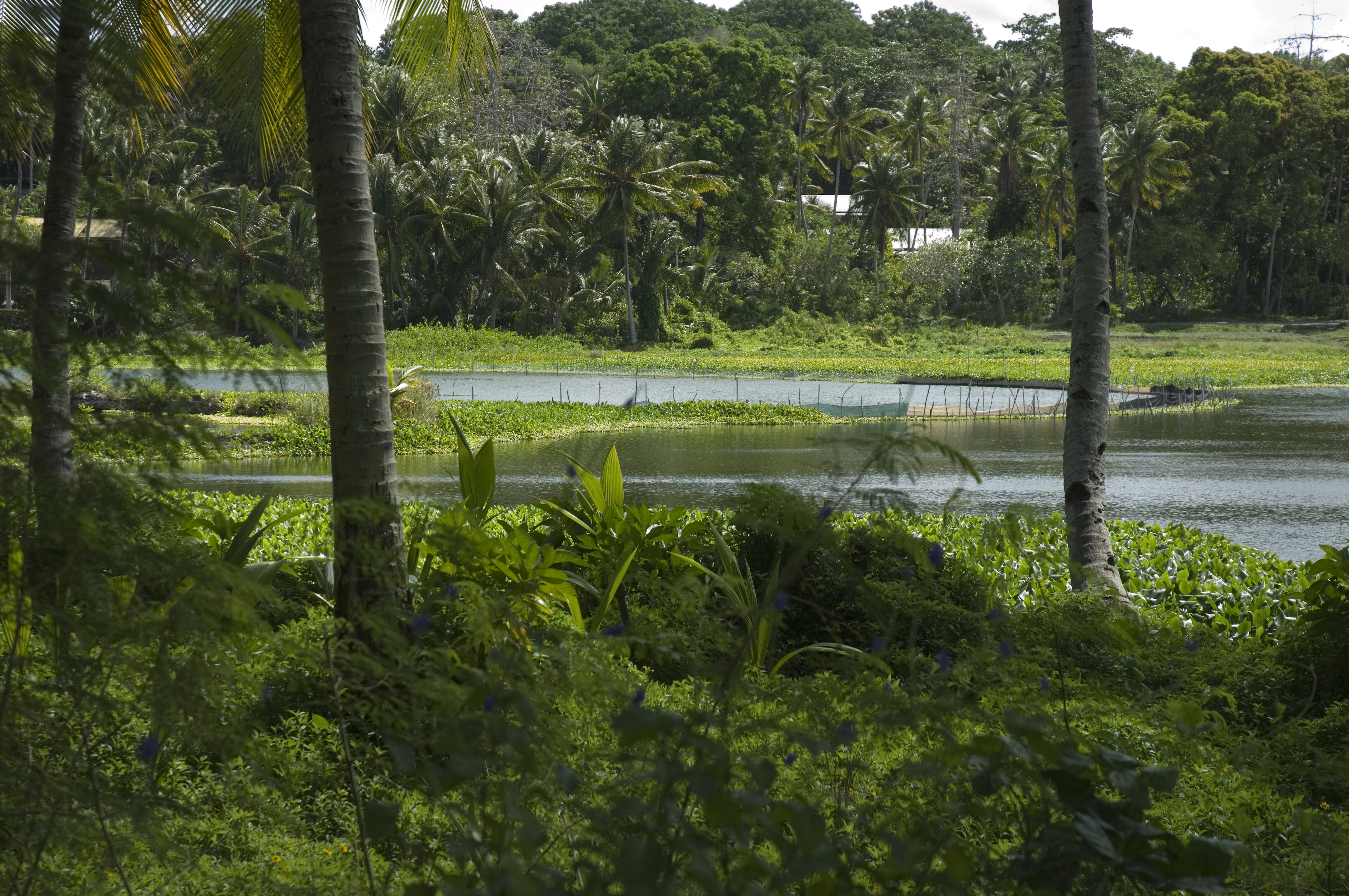Buada Lagoon Sacred Site