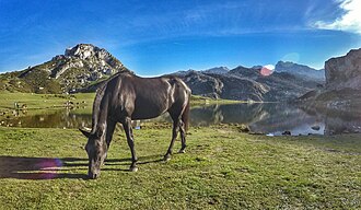 Covadonga Sanctuary