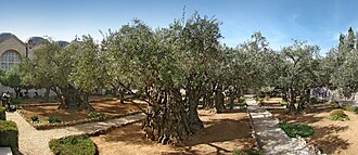 Garden of Gethsemane