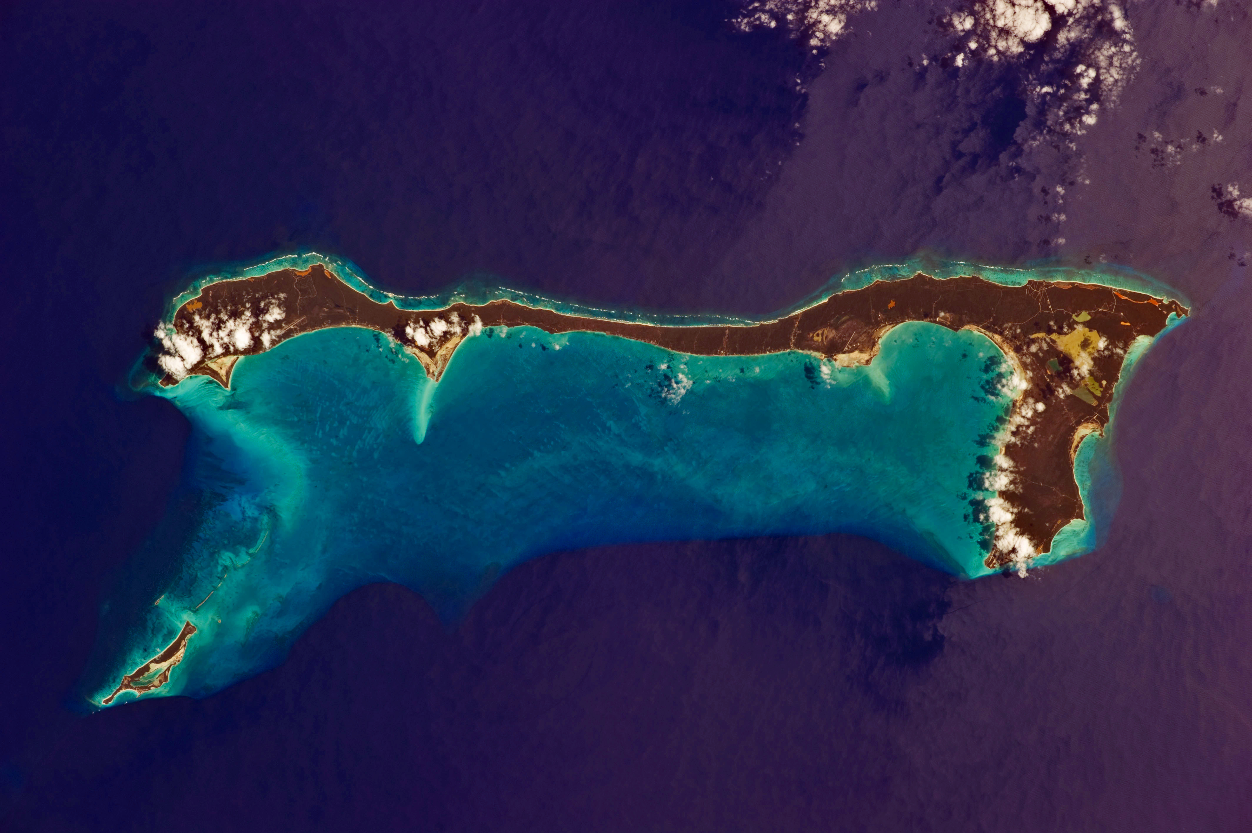 The Hermitage Cat Island