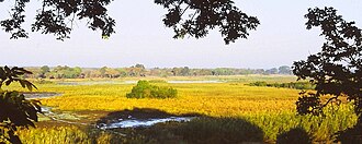 Kasanka Sacred Sites