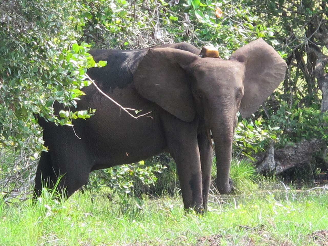 Loango Sacred Sites