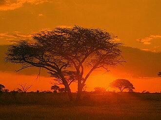 Matobo Hills