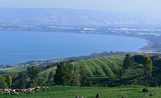 Sea of Galilee (Capernaum and Tabgha)