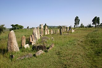 Tiya Stelae Field